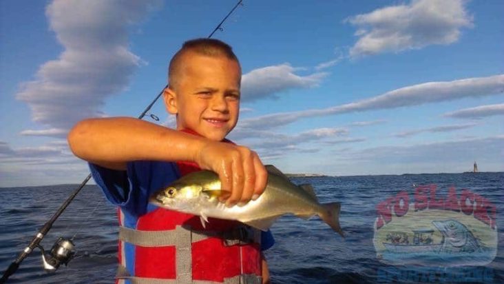 Portland Maine Fishing Charters For Striped Bass And Mackerel