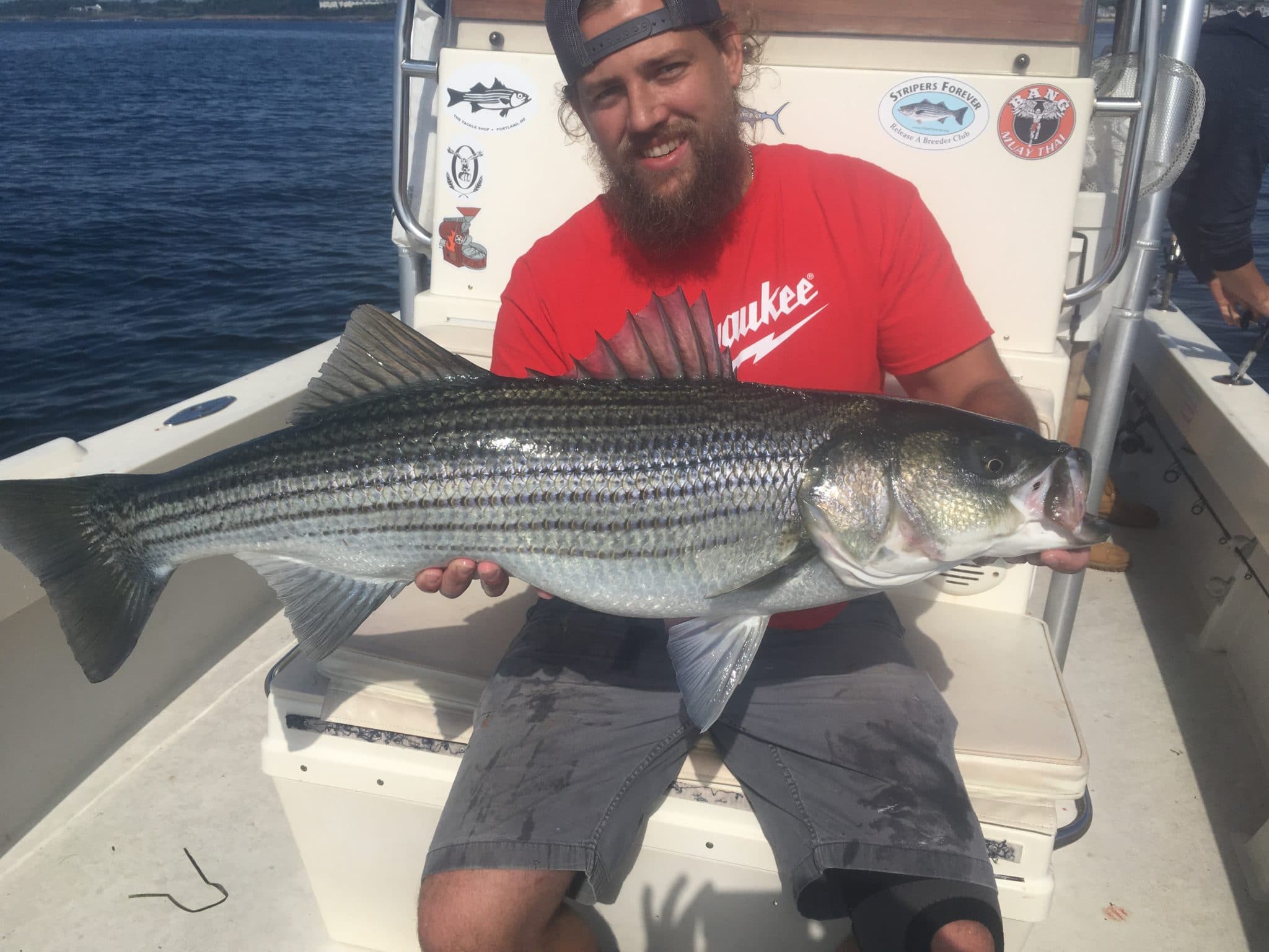Portland Maine Fishing Charters for Striped Bass and Mackerel