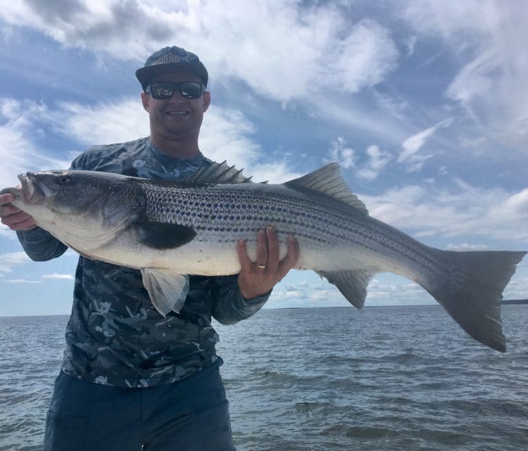 Portland Maine Fishing Charters for Striped Bass and Mackerel